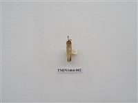 藏品(尺蠖蛾科)的圖片